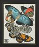Stylecraft Butterfly I Wall Art-1