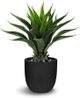 Le Present Agave Green Faux Botanical-0