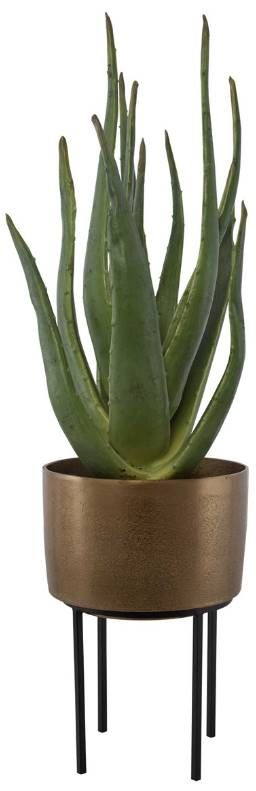 Uttermost® Arabia Antique Brass/Green/Matte Black Aloe Planter-2