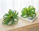 A & B Home Dark Green Faux Spider Plant-1