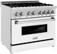 ZLINE 36" Stainless Steel Pro Style Dual Fuel Range with White Matte Door-2