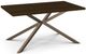 Amisco Customizable Asterisk Birch Rectangular Table with Decorative Bolts-0