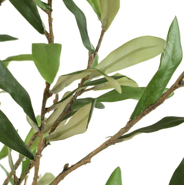 Uttermost® Abundance Charcoal/Green Potted Olive-3
