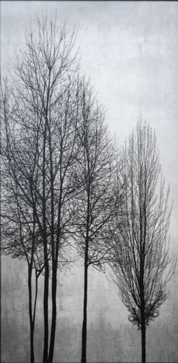 Stylecraft Black/Nickel/Silver Wall Art-1