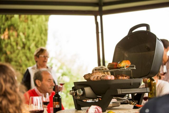 Front view of a Napoleon electric tabletop grill being used in an outdoor family gathering