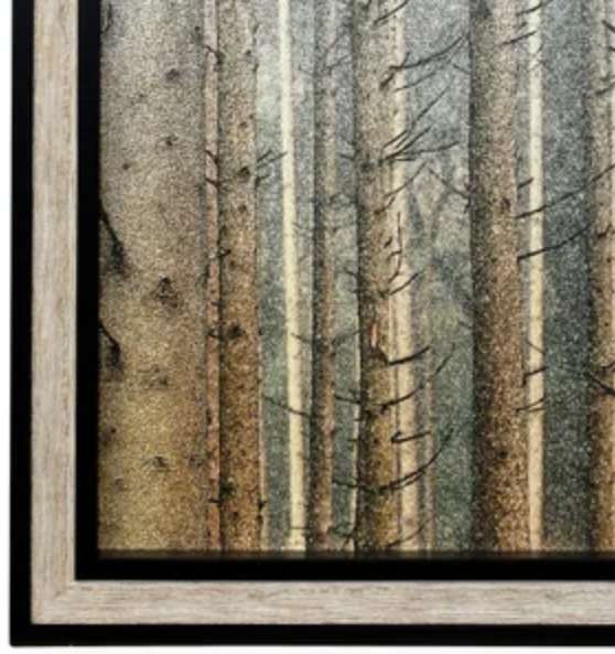 Stylecraft Forest Dreaming II Black/Light Brown/Light Gray Wall Art -1