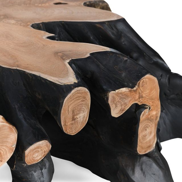 Classic Home Cypress Root Black/Natural Square Coffee Table -3