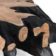 Classic Home Cypress Root Black/Natural Square Coffee Table -3