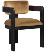 Saddle-Black