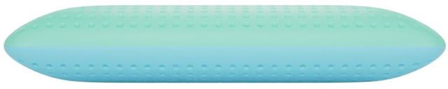 Blu Sleep Bio-Gel Medium Queen Pillow-2