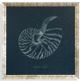 Stylecraft Black/White Wall Art-0