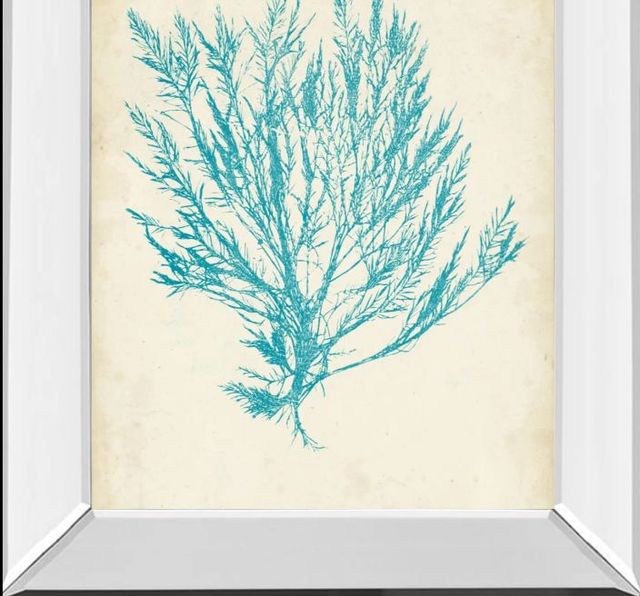 Classy Art Aquamarine Seaweed IV by Vision Studio Mirror Framed Wall Art-1
