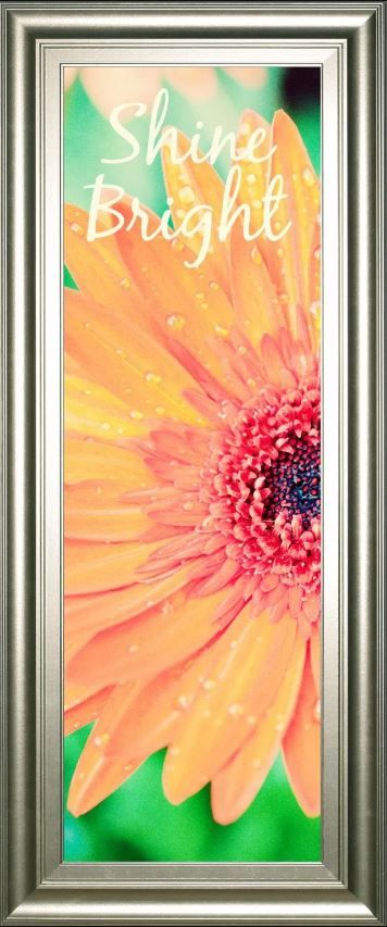 Classy Art Shine Bright Daisy by Susan Bryant Framed Print Wall Art-1