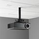 Chief® Black Suspended Ceiling Projector System-2