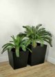 Le Present Low Tapered Black 18" Planter-5