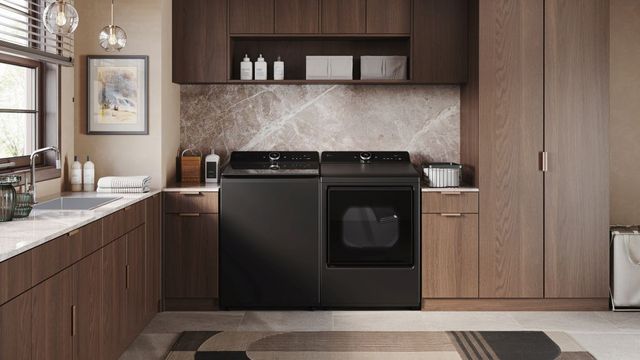 LG 7.3 Cu. Ft. Matte Black Electric Dryer-19