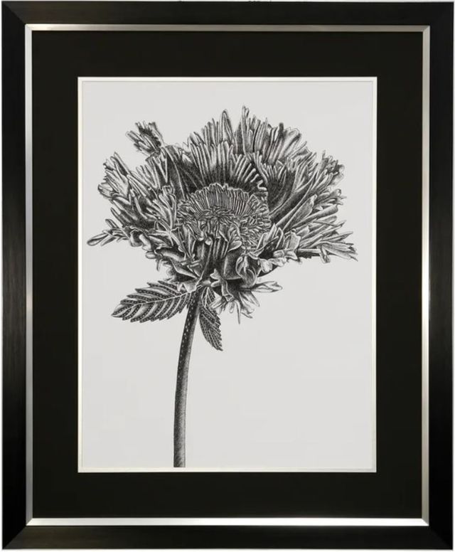 Stylecraft Black/Light Gray/White Framed Print-0