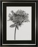 Stylecraft Black/Light Gray/White Framed Print-0
