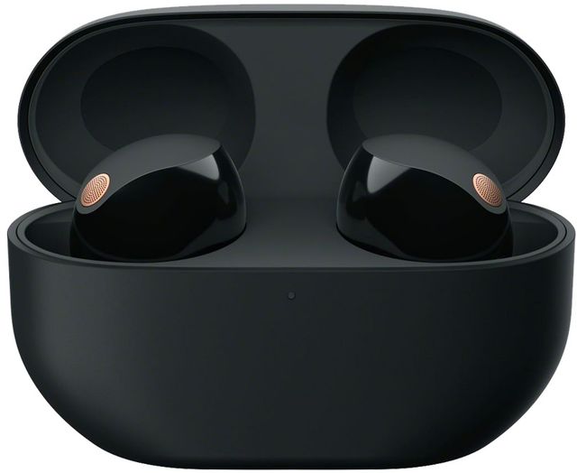 Sony® Black Noise Canceling Wireless Earbuds-3