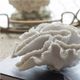 A & B Home White Faux Coral Decorative Object-3