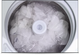 Speed Queen® TR5000WN 3.2 Cu. Ft. White Top Load Washer-3