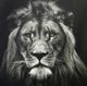 Stylecraft Black/White Wall Art-1