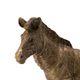 A & B Home Metallic Copper Zebra-3