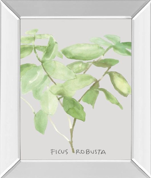 Classy Art Ficus Robusta by Katrien Soeffers Mirror Framed Wall Art-0
