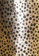 A & B Home Black/Gold Bottle Cover-1