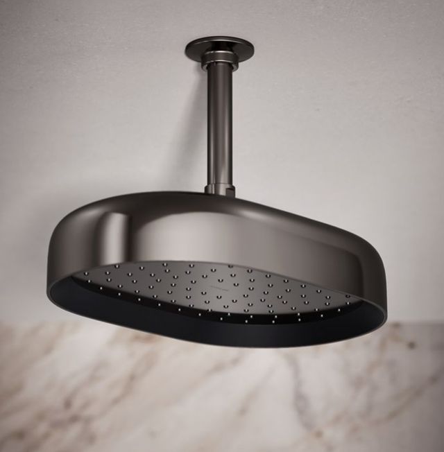 KOHLER® Statement® Vibrant Titanium 2.5 GPM 12" Single-Function Rainhead-1