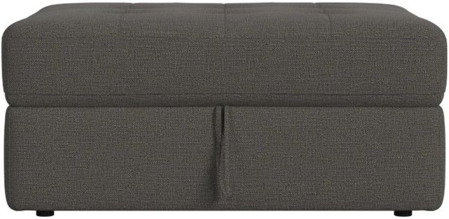 Elements International Option One Palmer Plus Ash Storage Ottoman-2