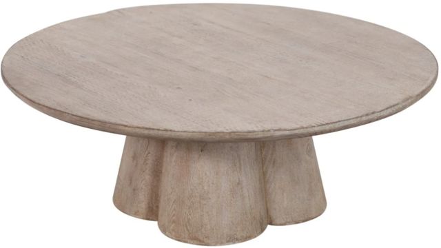 Dovetail Furniture Sylmar Light Warm Wash Coffee Table -2