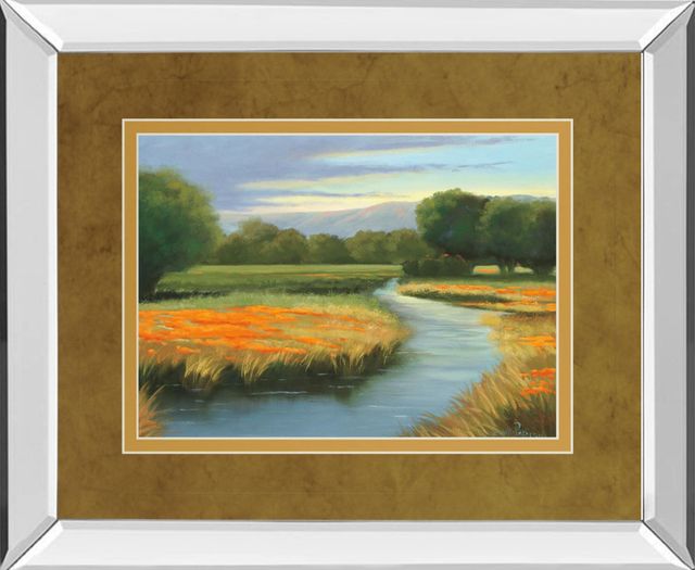 Classy Living Julie Peterson California Orange Mirror Framed Wall Art-0