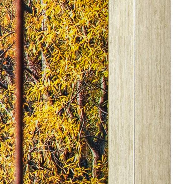 Yosemite Home Decor Woodlands Wall Art - Thumbnail 4