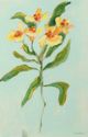 Stylecraft Lily Study I Wall Art-1