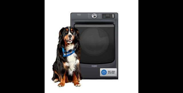 Maytag® Pet Pro System 7.4 Cu. Ft. Midnight Steel Front Load Gas Dryer-3