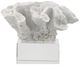 A & B Home White Faux Coral With Glass Base-2