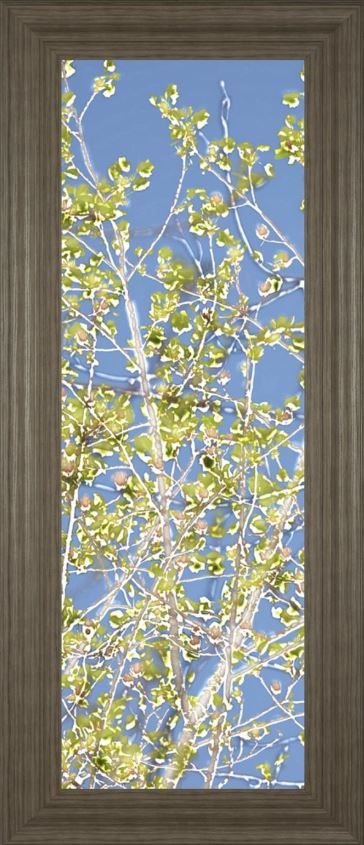 Classy Art Spring Poplars Il by Sharon Chandler Framed Print Wall Art-1