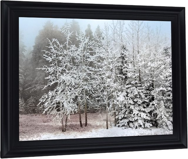 Classy Living Silent Frosted Grove Framed Wall Art-2