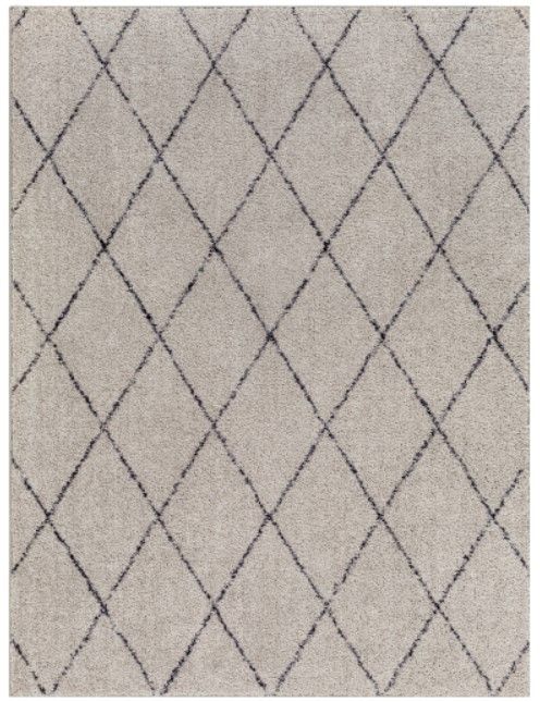 Surya Lykke Gray 4'x6' Area Rug-0
