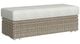 Elements International Carmona Beige/Natural Fabric/Olefin Outdoor Ottoman-0
