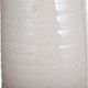 Stylecraft Evian Ivory Transitional Ceramic Vase-4