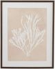 Bassett Mirror Gracilaria Multipartita Beige Framed Print-0