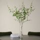 Uttermost® Nigra Clear/Green Birch Centerpiece-1