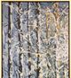 Stylecraft Sun Kissed Thicket I Wall Art-1