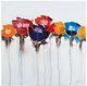 YHD Jeweled Poppies I Wall Art-0