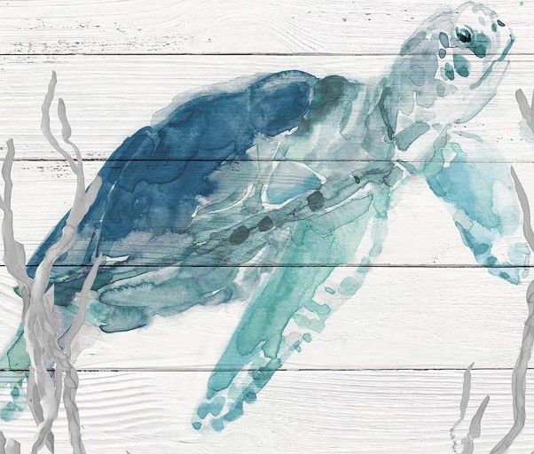 Classy Art Aqua Turtle I by Carol Robinson Wall Art-1
