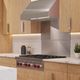 Faber Hoods 30" Stainless Steel Backsplash-1