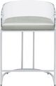 Coaster® Thermosolis 2-Piece Grey/Chrome Acrylic Back Counter Stools-2