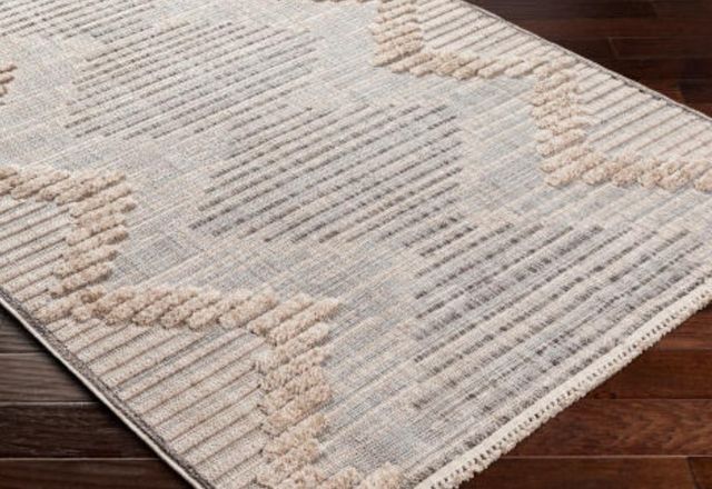 Surya Zaragoza 5'x7' Area Rug-3